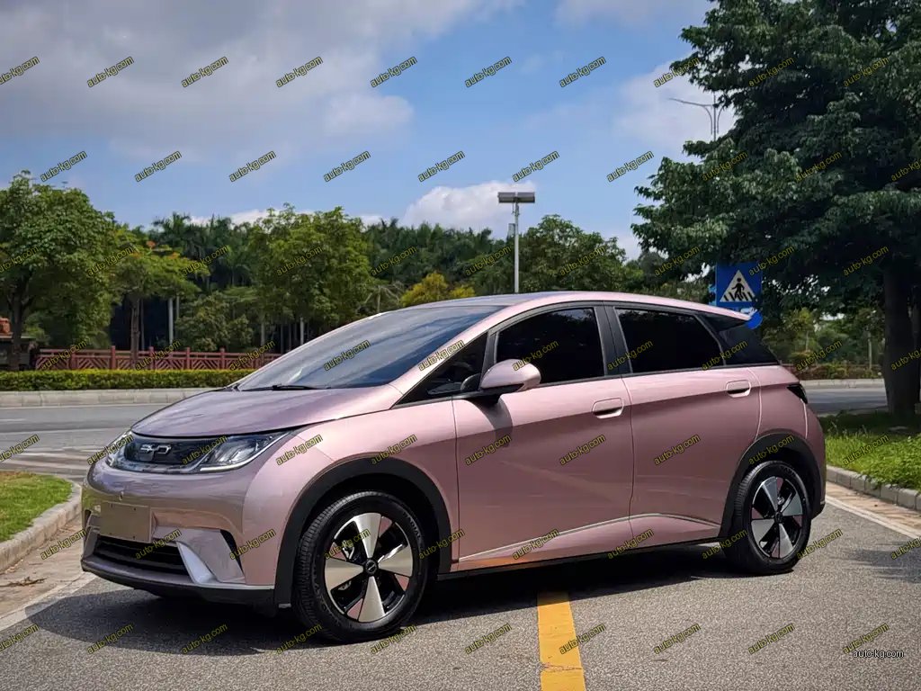 BYD Dolphin 2023