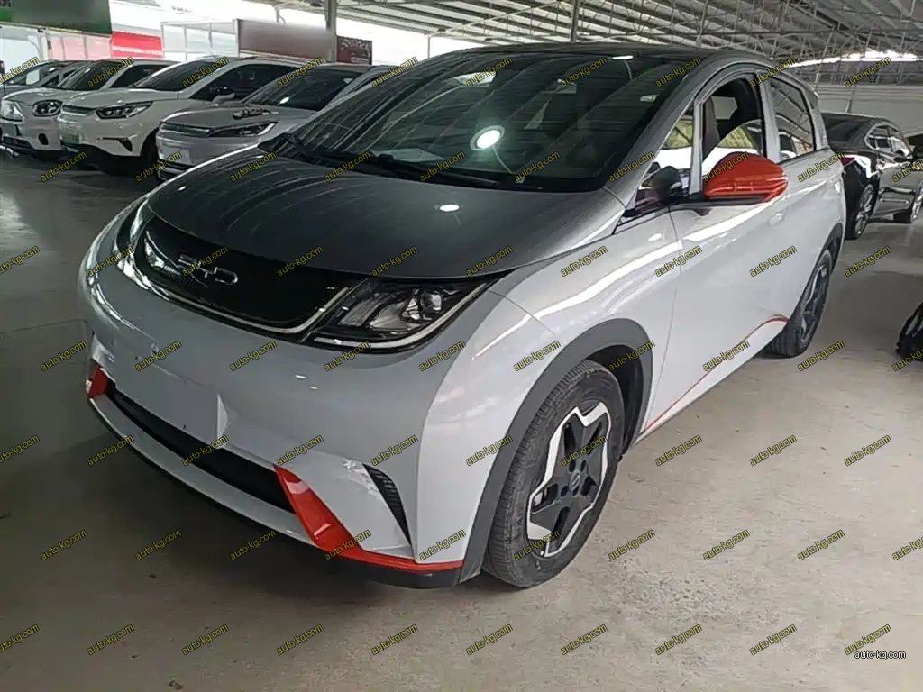 BYD Dolphin 2022