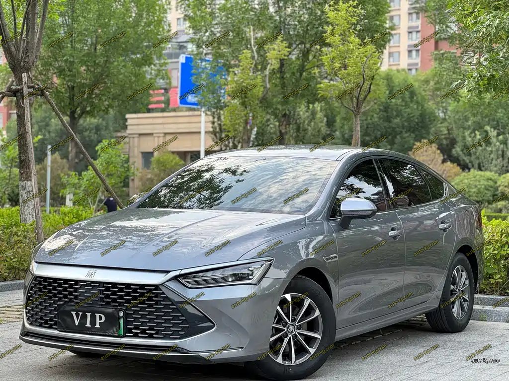 BYD Qin PLUS 2024