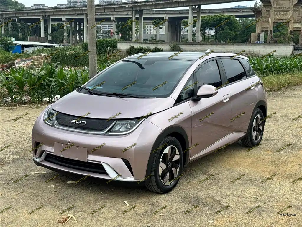 BYD Dolphin 2024