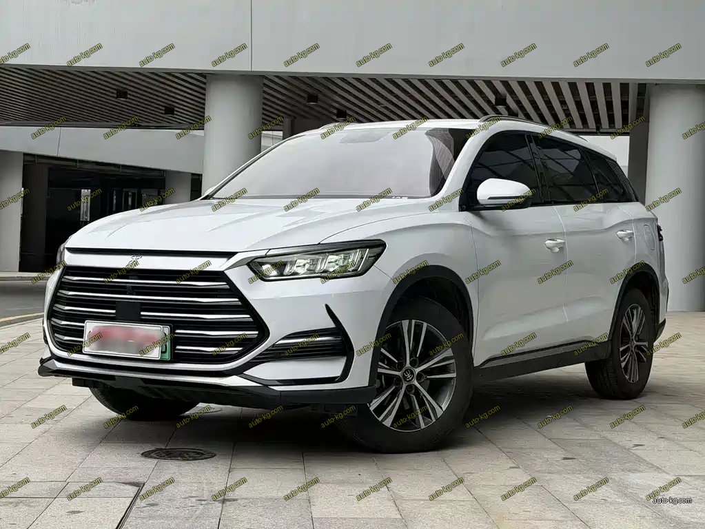 BYD Pro New Energy 2022