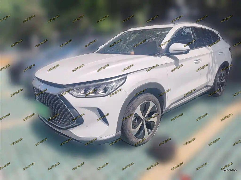 BYD PLUS New Energy 2021