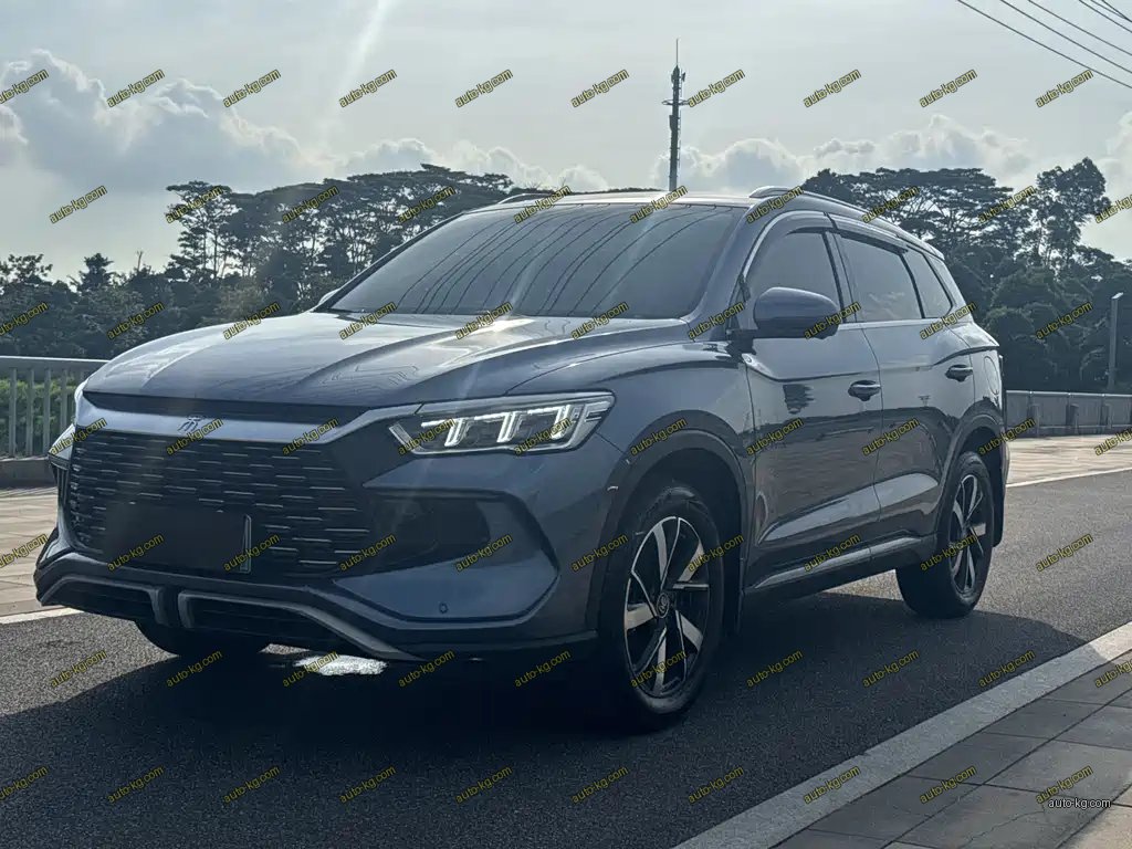 BYD Pro New Energy 2024