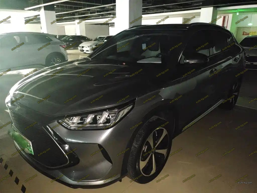 BYD PLUS New Energy 2022