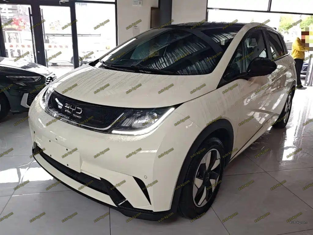 BYD Dolphin 2024