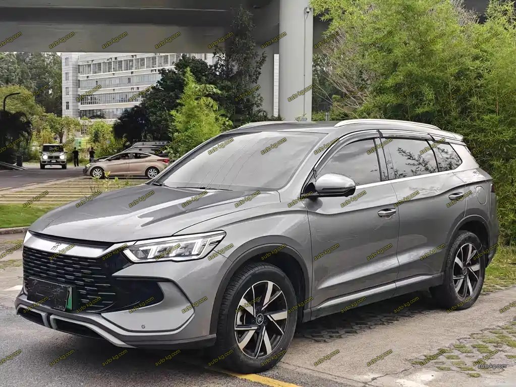 BYD Pro New Energy 2024