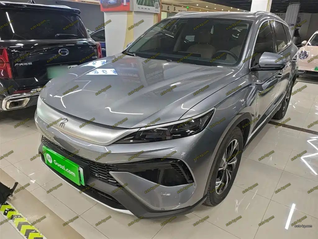 BYD Pro New Energy 2025
