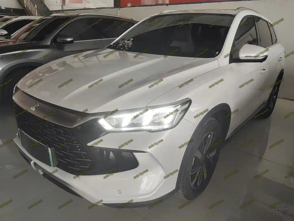 BYD Pro New Energy 2024