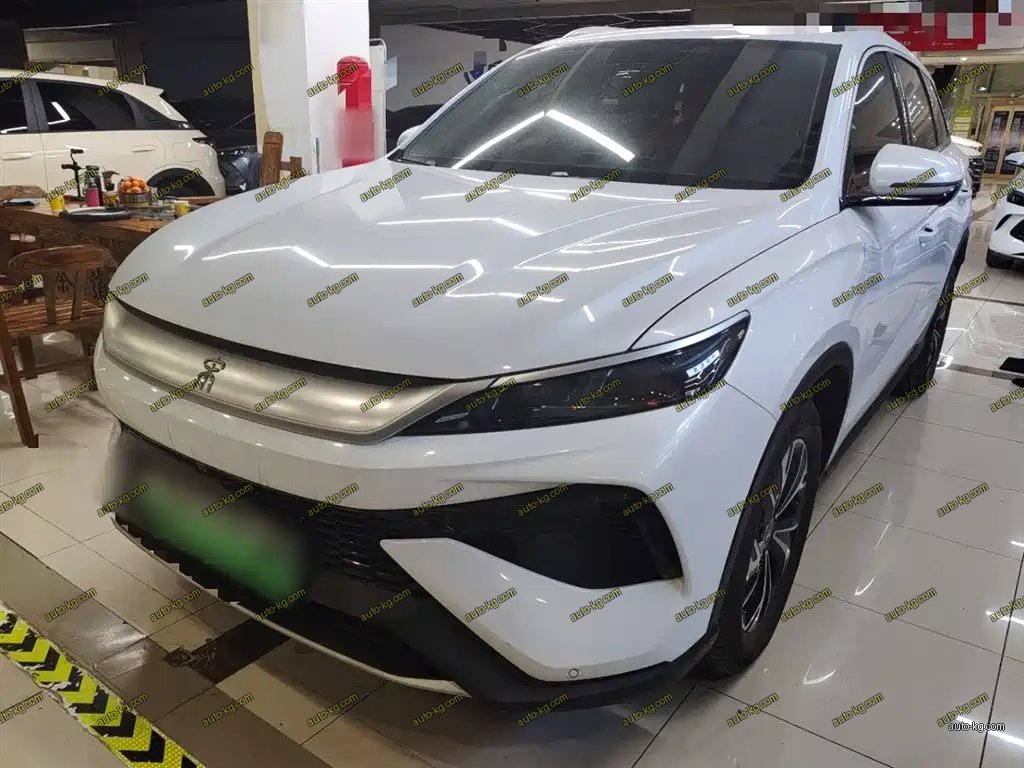 BYD Pro New Energy 2025