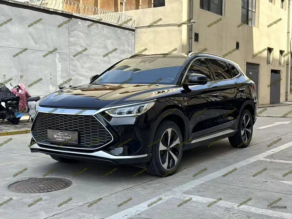 BYD PLUS New Energy 2022