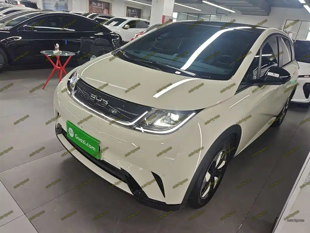 BYD Dolphin 2025