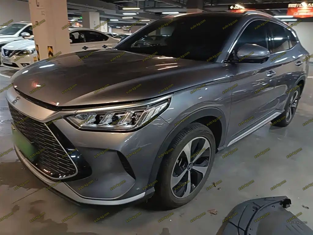 BYD PLUS New Energy 2022