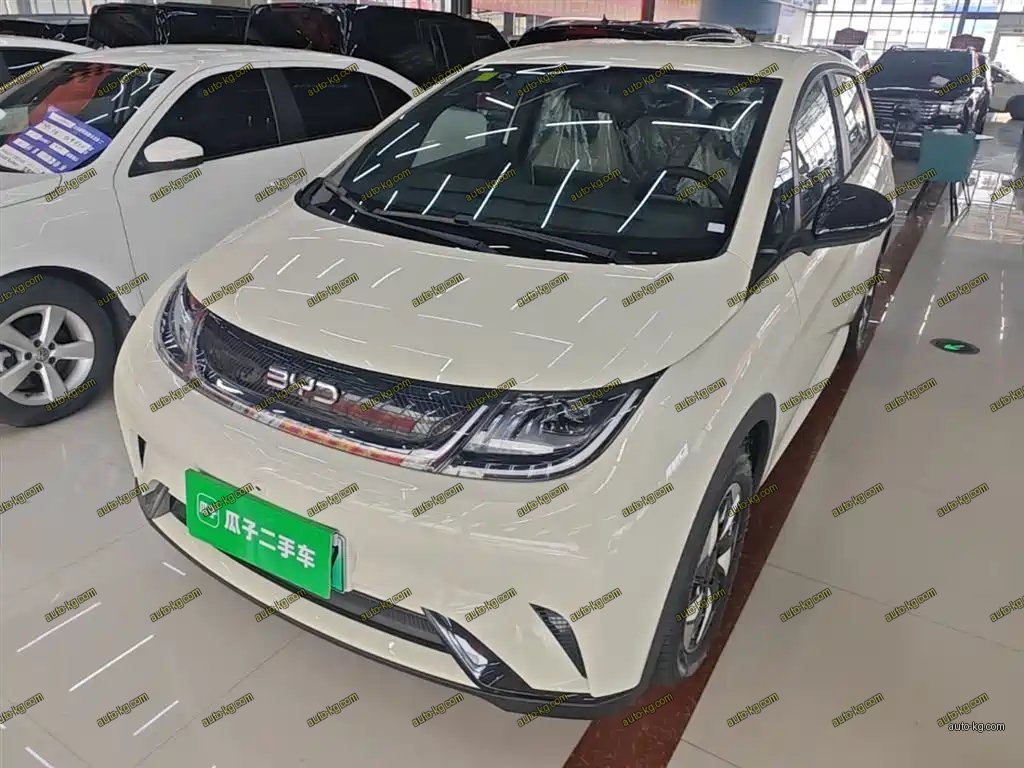 BYD Dolphin 2026