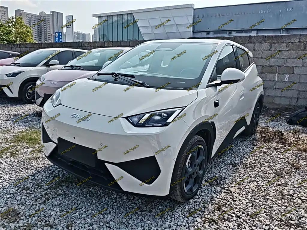 BYD Seagull 2025