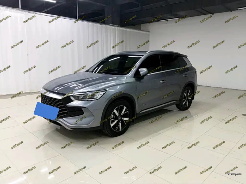 BYD Pro New Energy 2024