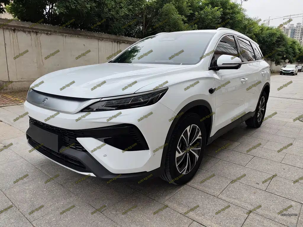BYD Pro New Energy 2025