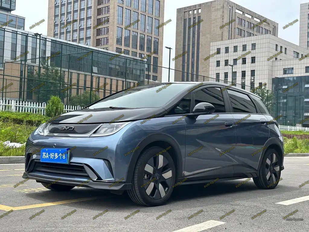 BYD Dolphin 2024