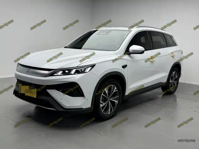 BYD Pro New Energy 2025