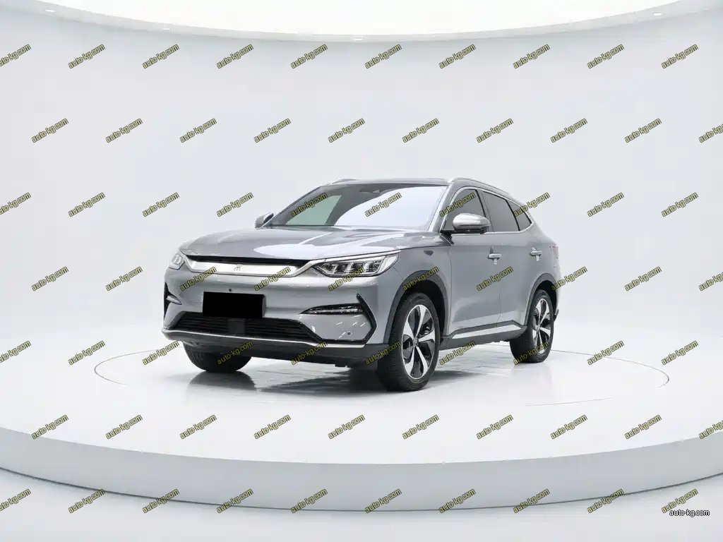 BYD PLUS New Energy 2022