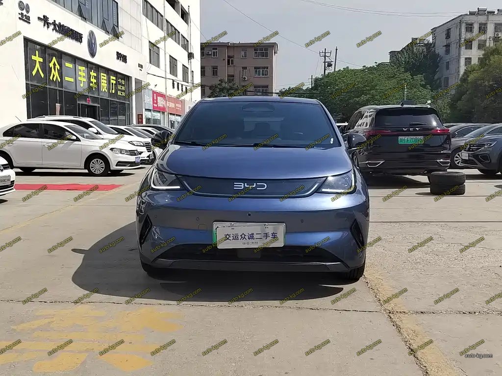 BYD Dolphin 2025