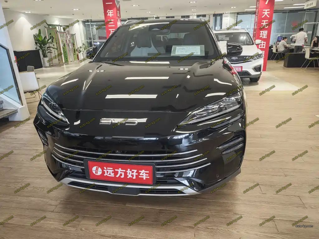 BYD PLUS New Energy 2024