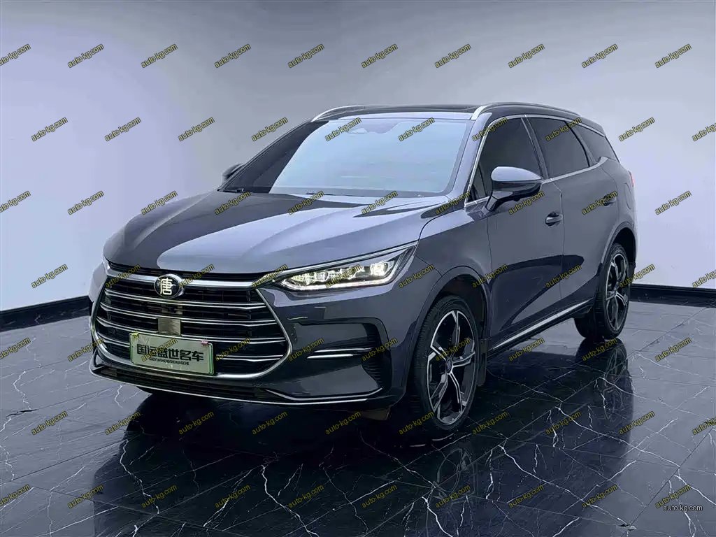 BYD Tang New Energy 2022