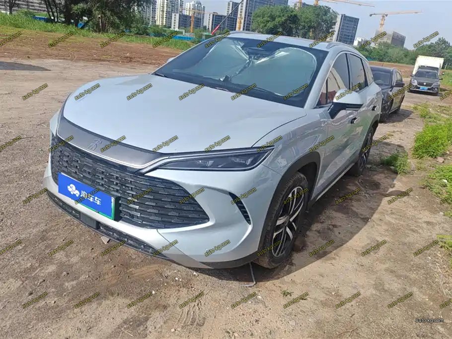 BYD L DM-i 2024