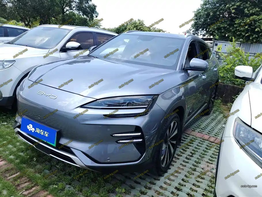 BYD PLUS New Energy 2023