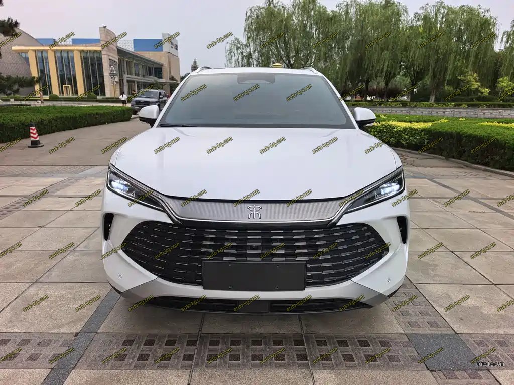 BYD L DM-i 2025