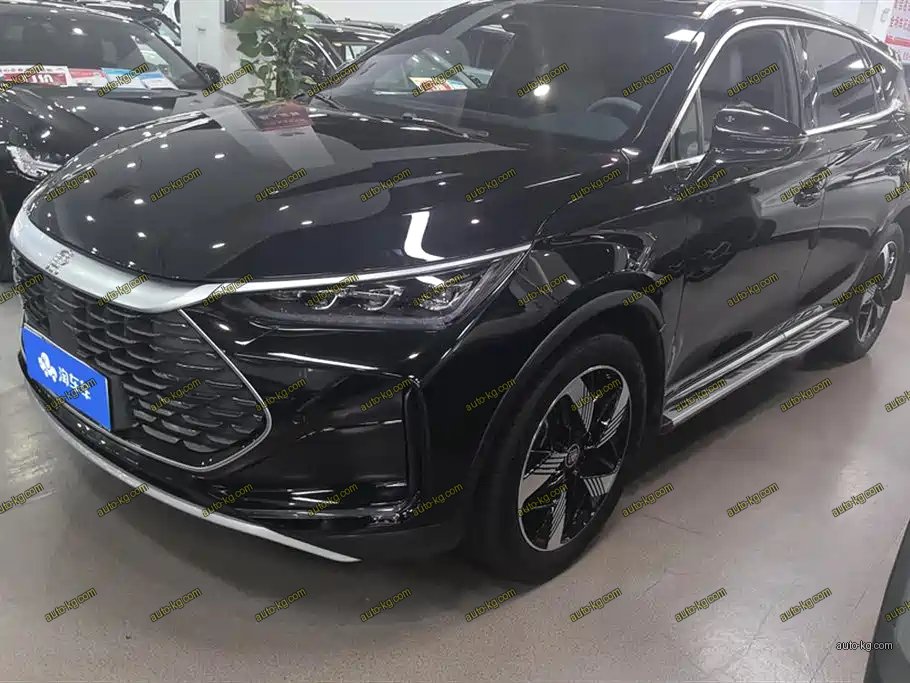 BYD Tang New Energy 2024
