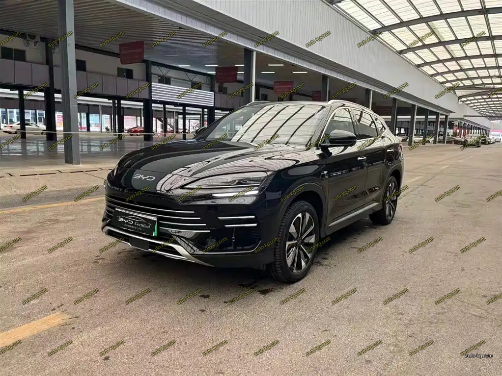 BYD PLUS New Energy 2025