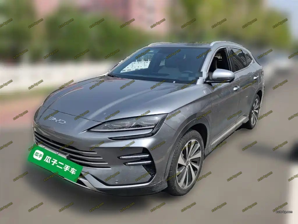 BYD PLUS New Energy 2024