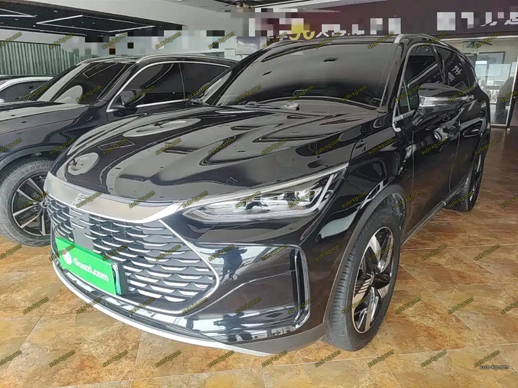BYD Tang New Energy 2024