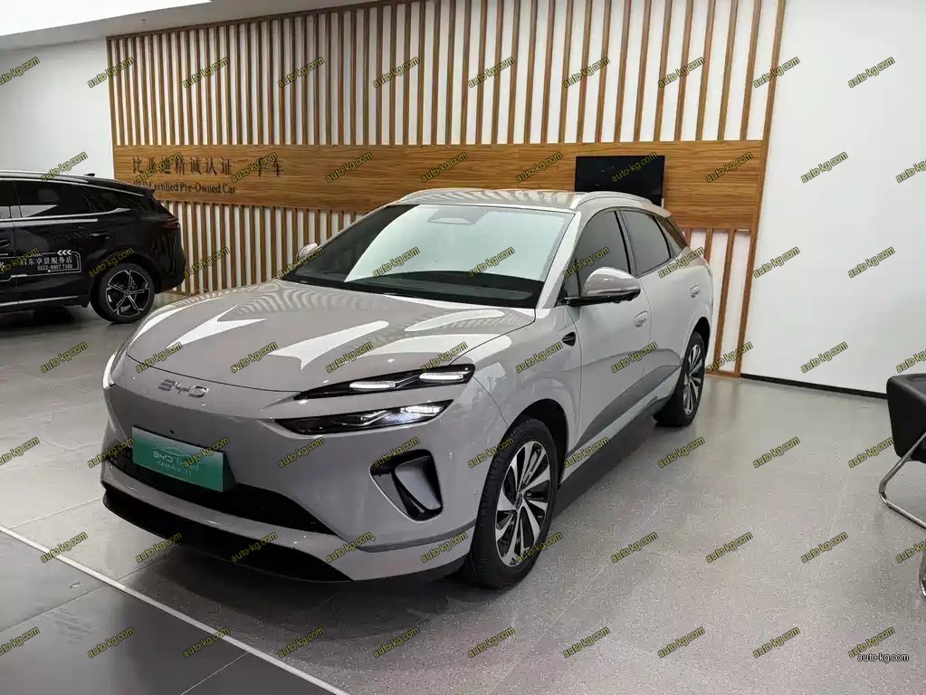 BYD 海狮06 2025