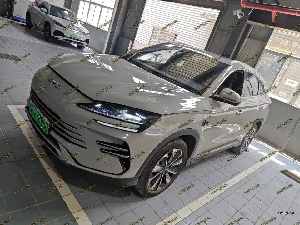 BYD PLUS New Energy 2025