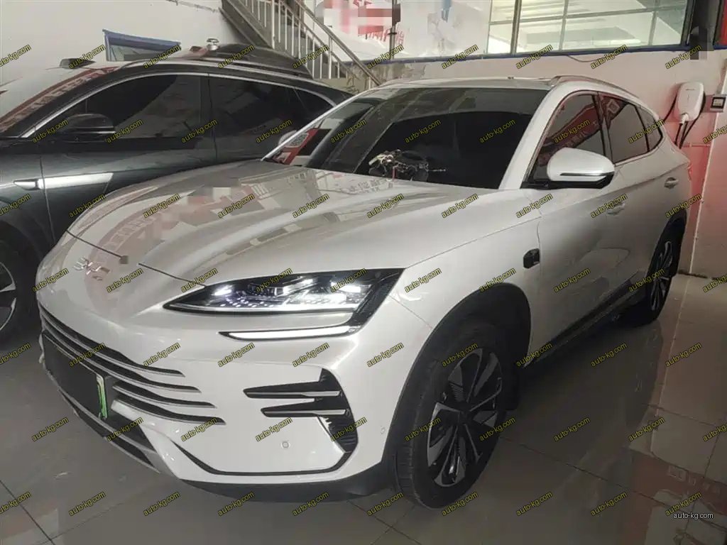 BYD PLUS New Energy 2025