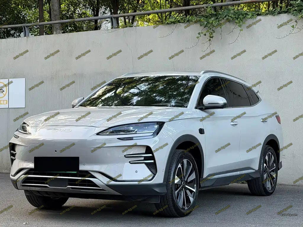 BYD PLUS New Energy 2025