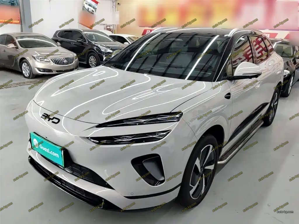 BYD 海狮06 2026