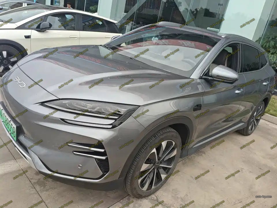BYD PLUS New Energy 2025