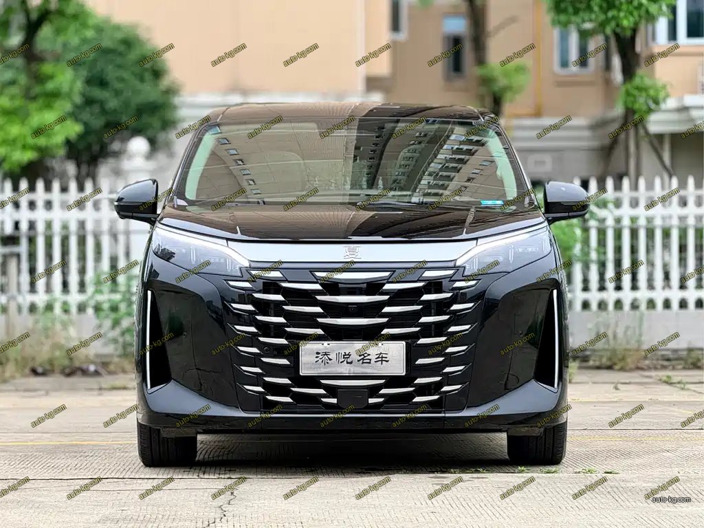 BYD Xia 2025