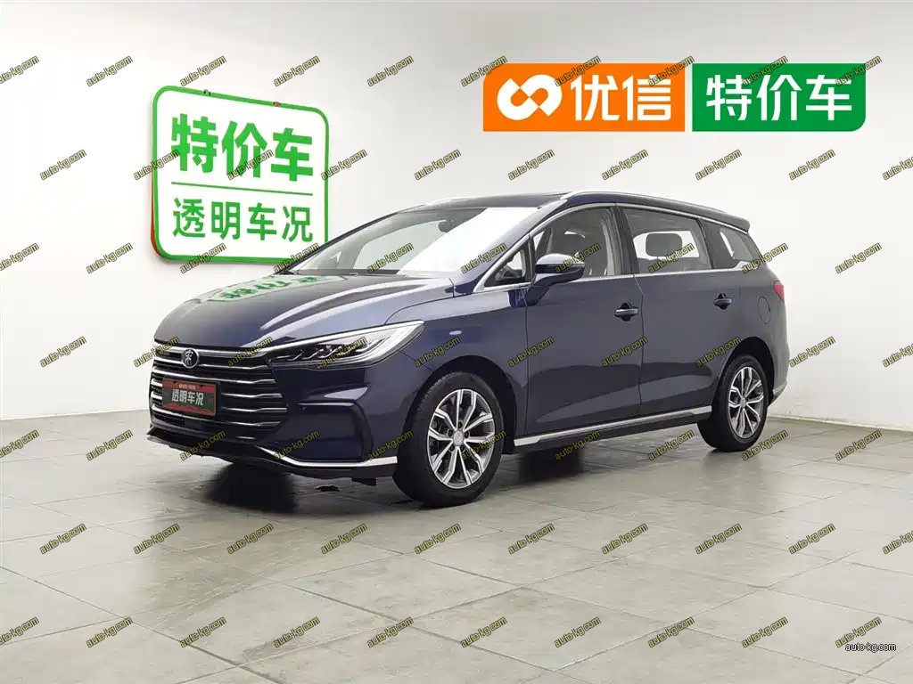 BYD MAX 2020