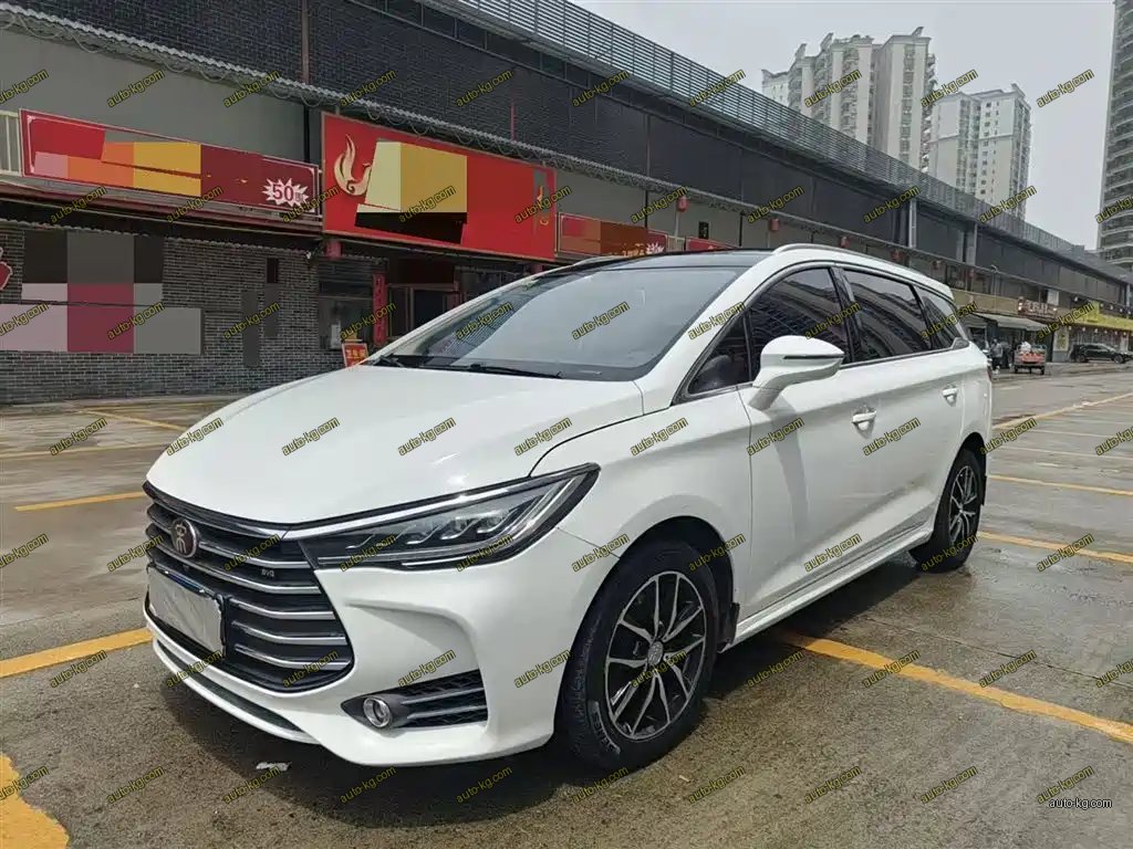BYD MAX 2018