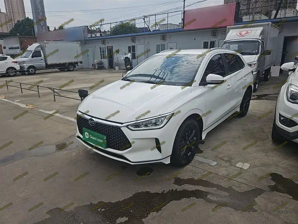 BYD e2 2020