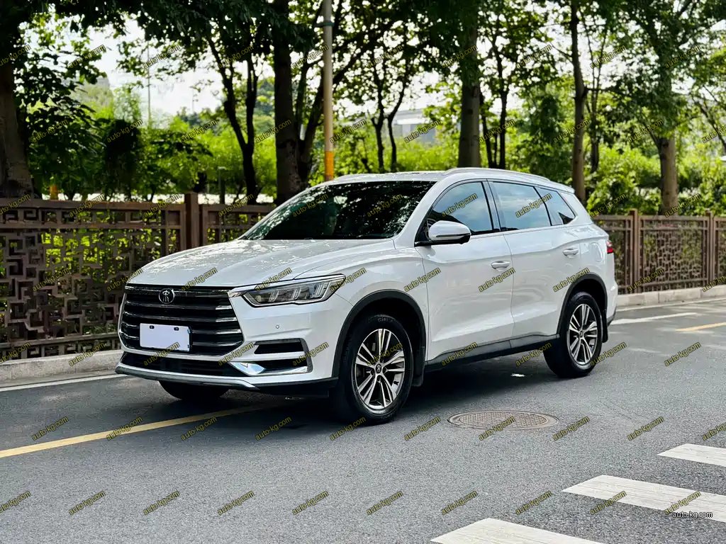 BYD Pro 2020