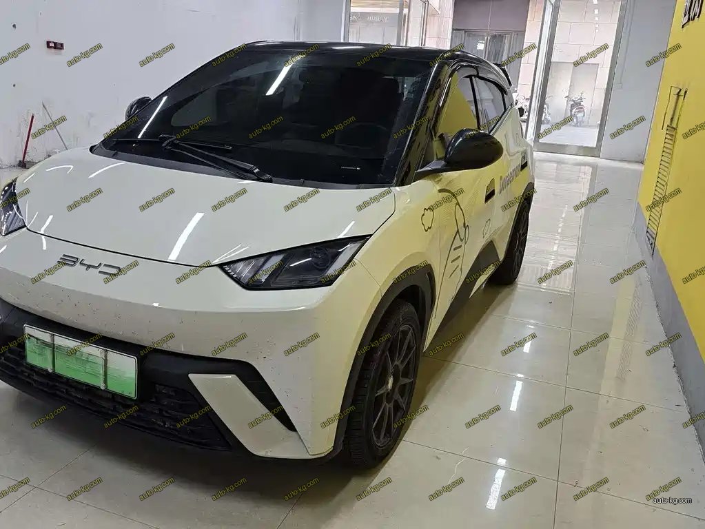 BYD Seagull 2024