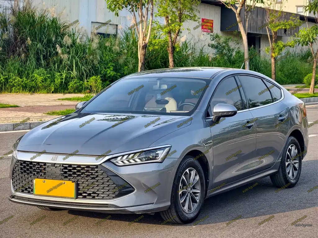 BYD Qin PLUS 2024
