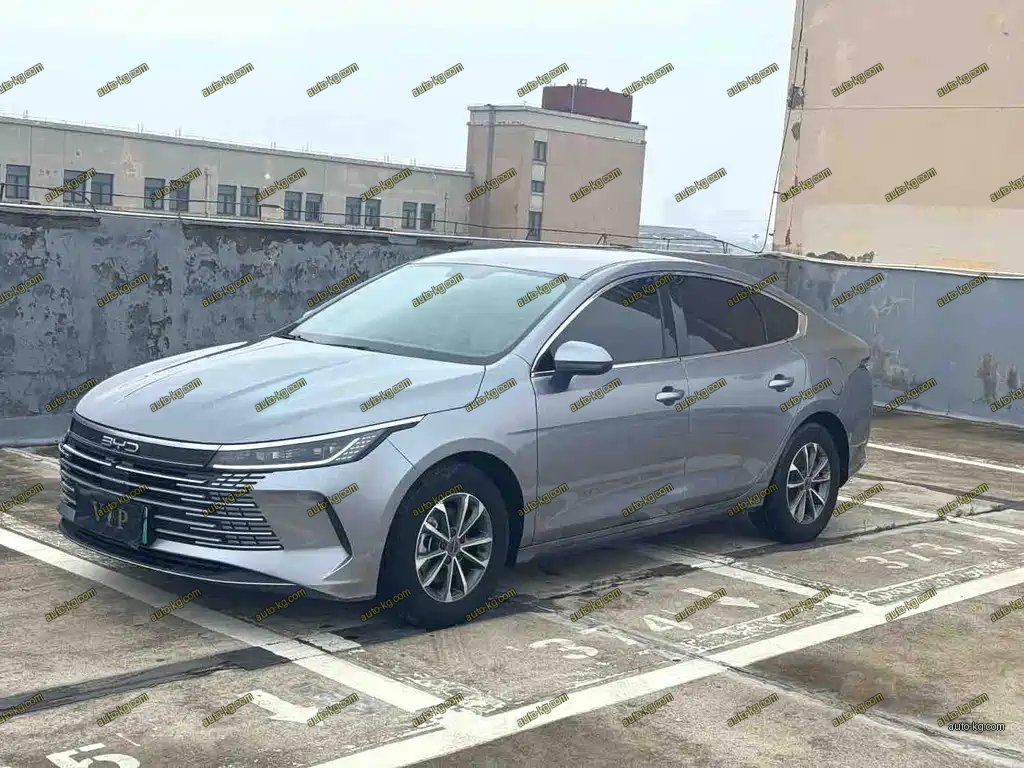 BYD Destroyer 05 2024