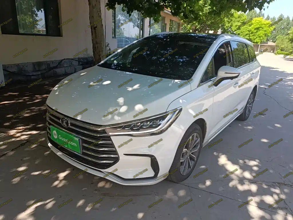 BYD MAX 2021