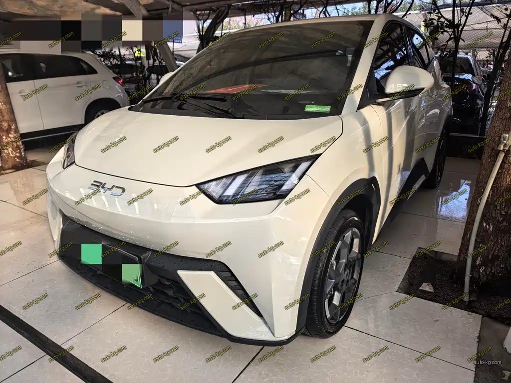 BYD Seagull 2025