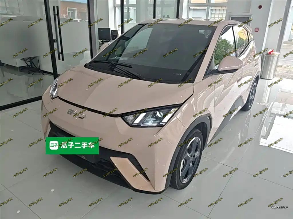 BYD Seagull 2024